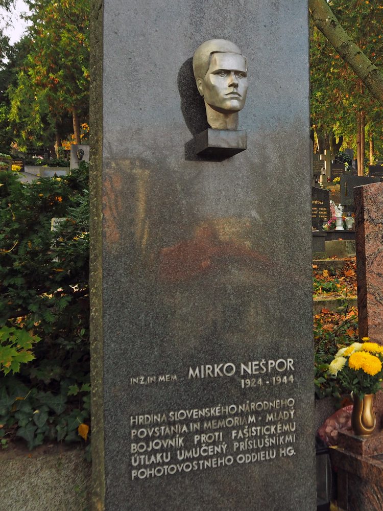 Mirko Nešpor 