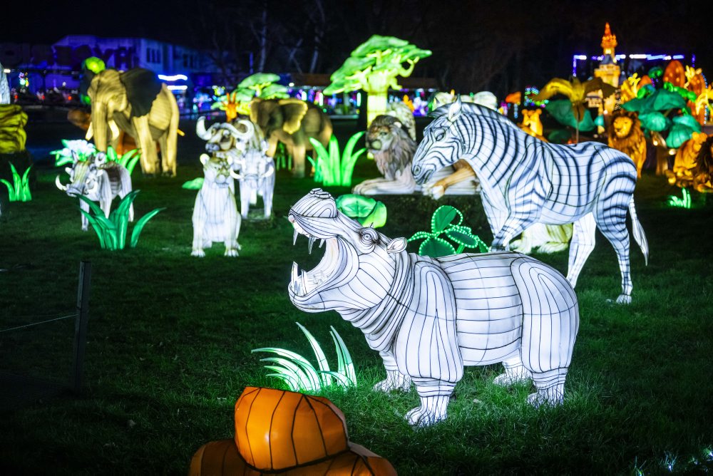 Atmosféra svetelného zábavného parku Wonderland na dostihovej dráhe v bratislavskej Petržalke