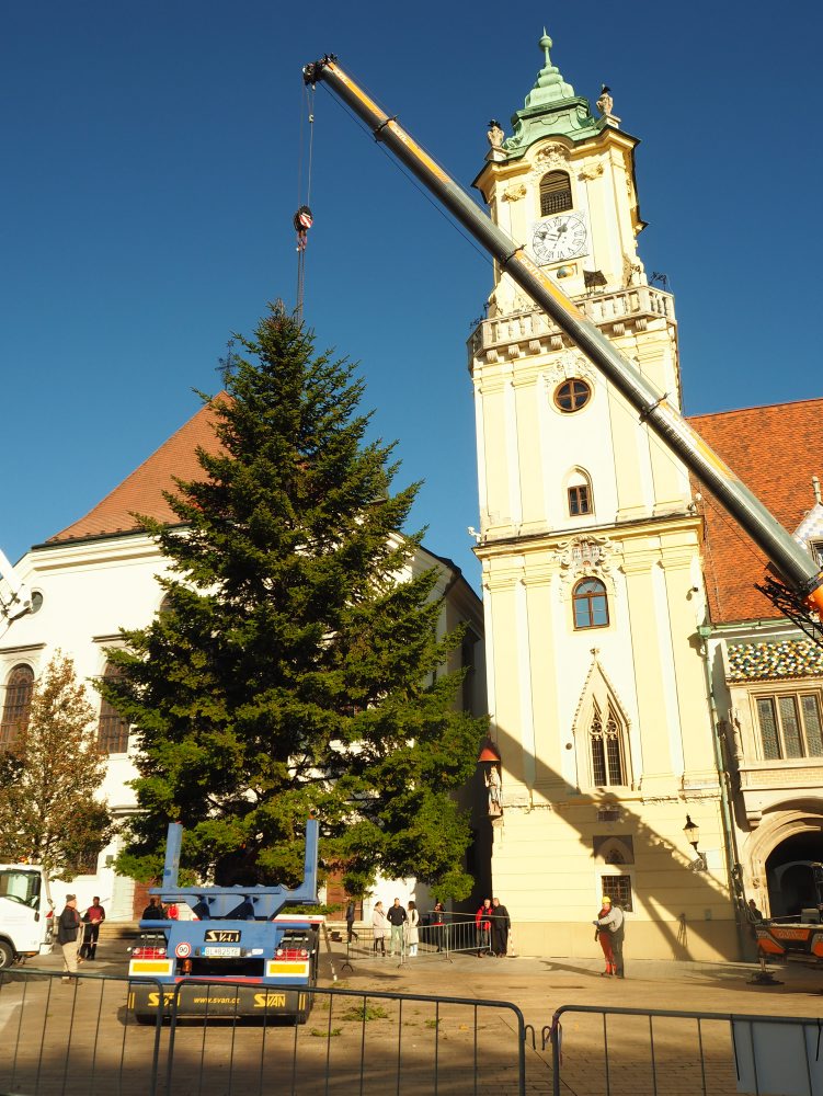 Osadzovanie vianočného stromčeka na Hlavnom námestí v Bratislave