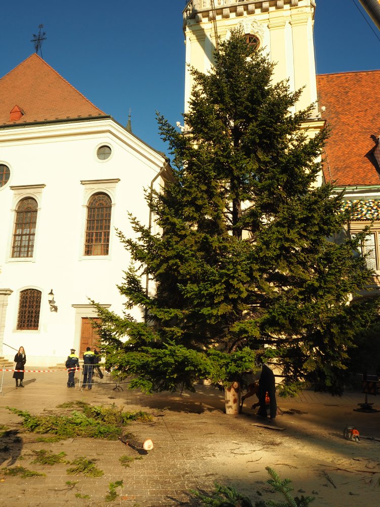 Osadzovanie vianočného stromčeka na Hlavnom námestí v Bratislave