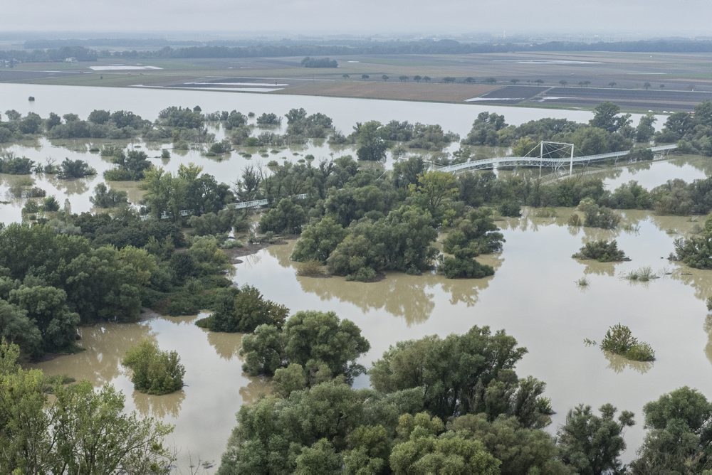 Letecké zábery na rozvodnenú rieku Moravu a Dunaj v Bratislave