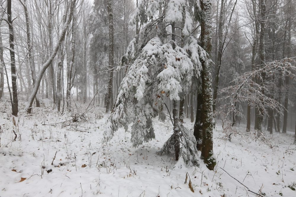 Pred začiatkom zimnej sezóny v lyžiarskom stredisku na Skalke