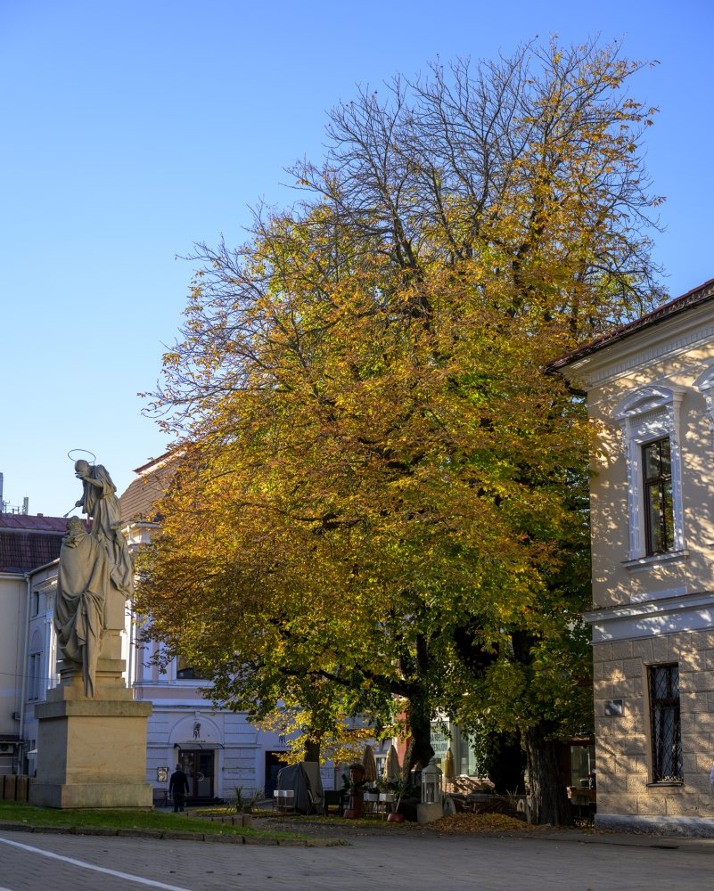 Poprad v jesennom odeve 