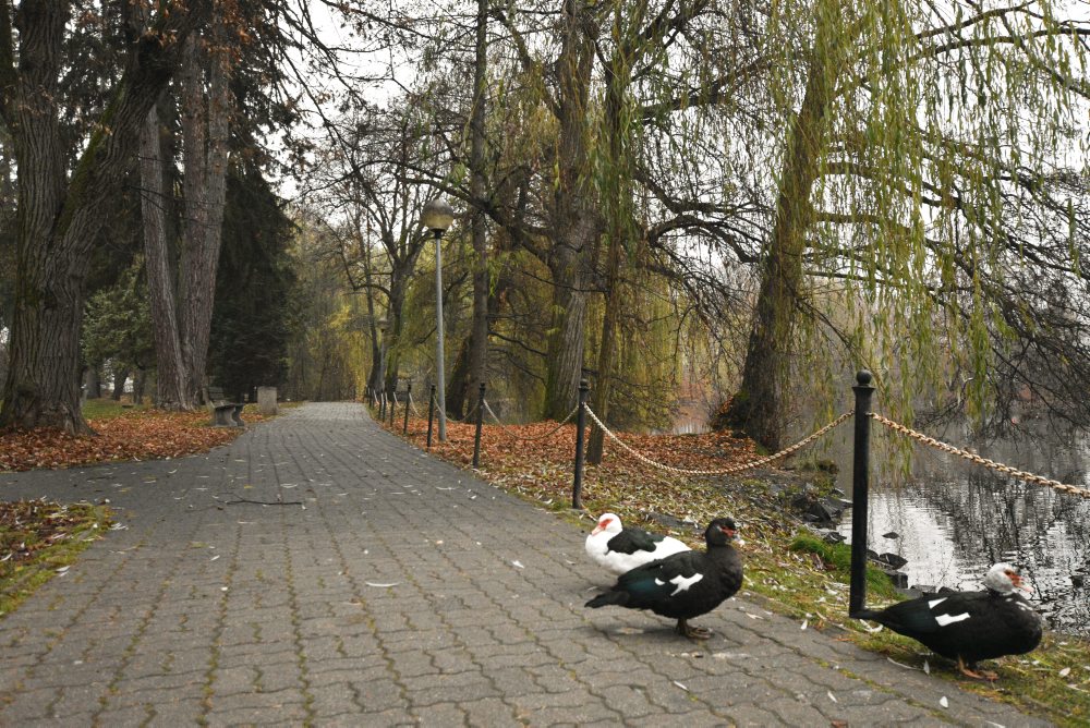 Revitalizácia parku v Lučenci