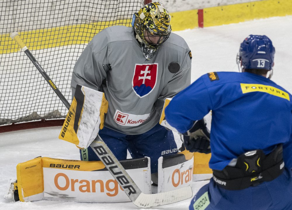 Hokej-NP: Tréning slovenskej hokejovej reprezentácie na zraze pred Nemeckým pohárom