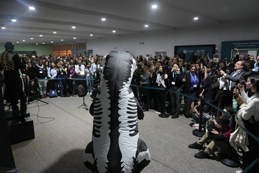 Klimatická konferencia OSN COP 29 v Baku