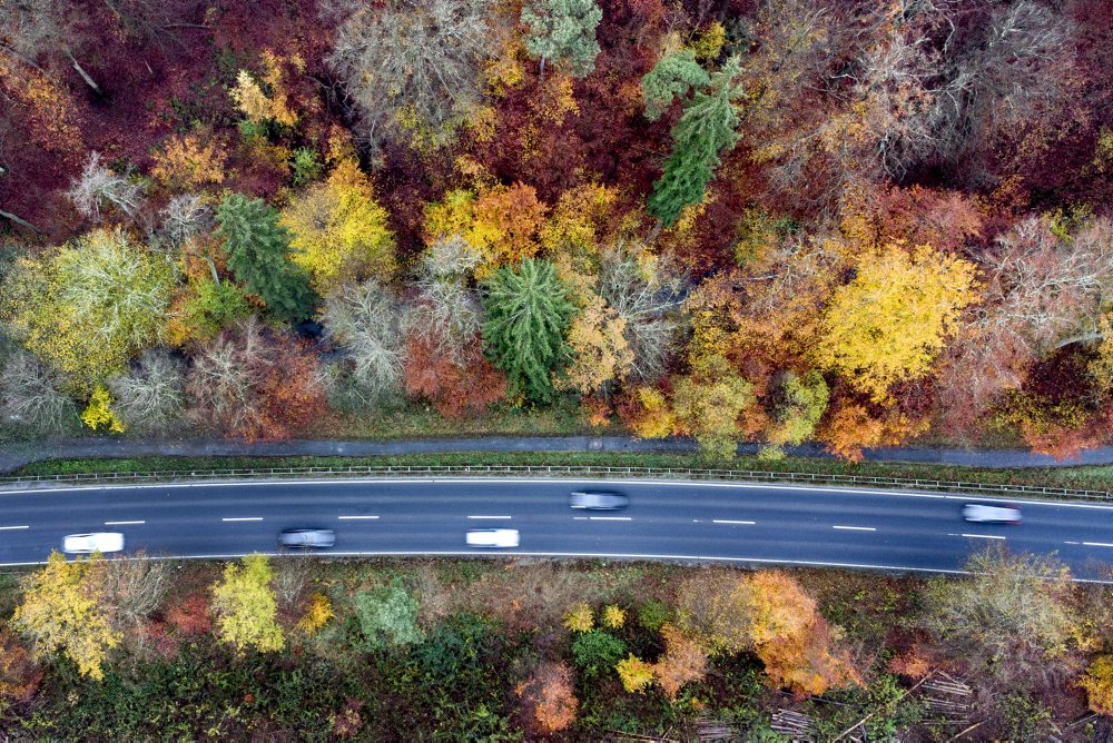 Les s jesenným sfarbením v regióne Taunus neďaleko Frankfurtu nad Mohanom 