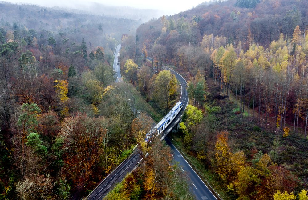 Les s jesenným sfarbením v regióne Taunus neďaleko Frankfurtu nad Mohanom 