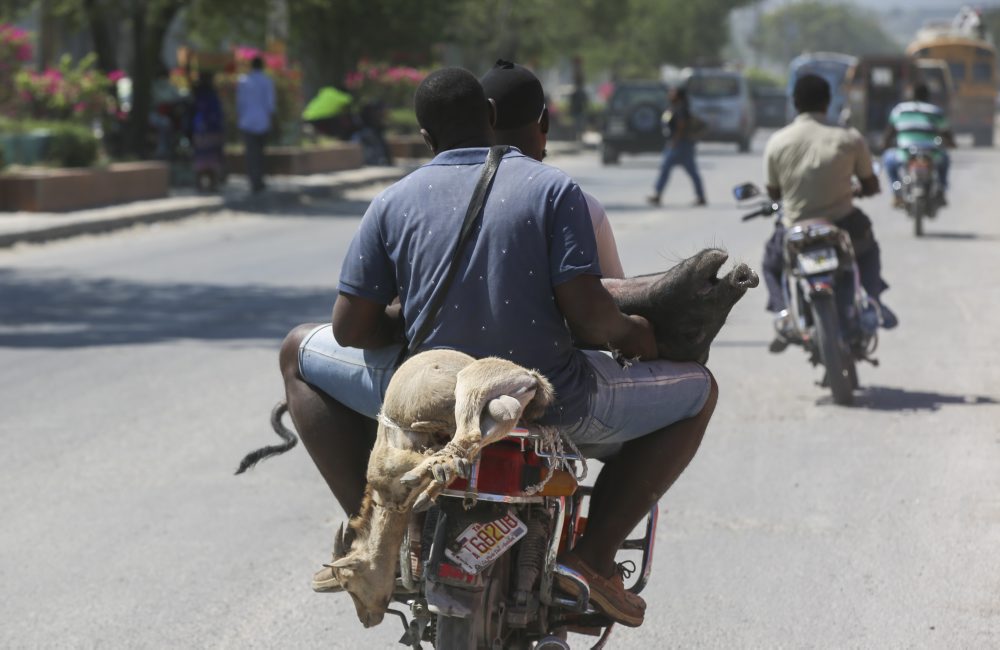 život na Haiti