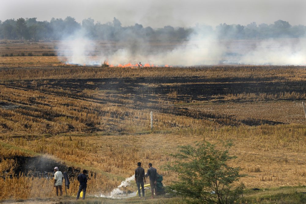 Sever Indie sužuje smog, školy v Naí Dillí sú zatvorené