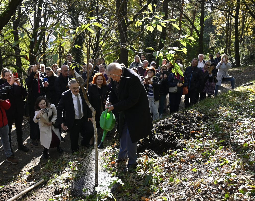 Exprezident Rudolf Schuster počas vysadenia prvého stromu do Aleje významných osobností v Botanickej záhrade UPJŠ v Košiciach