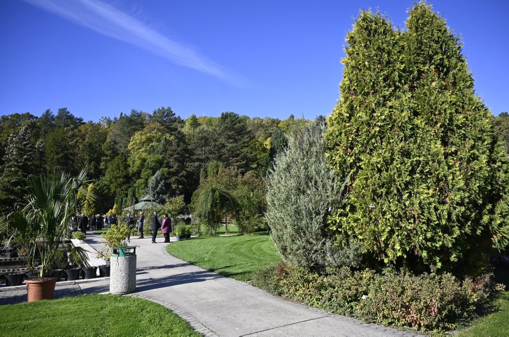 Jesenná atmosfréra v Botanickej záhrade UPJŠ v Košiciach