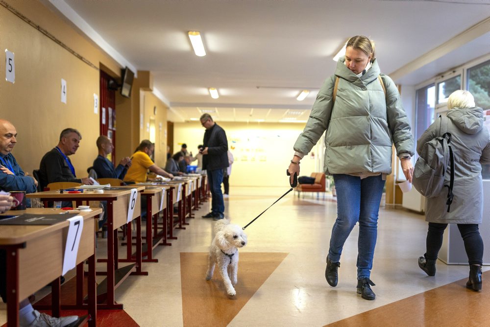 Voliči v Litve hlasujú v druhom kole parlamentných volieb