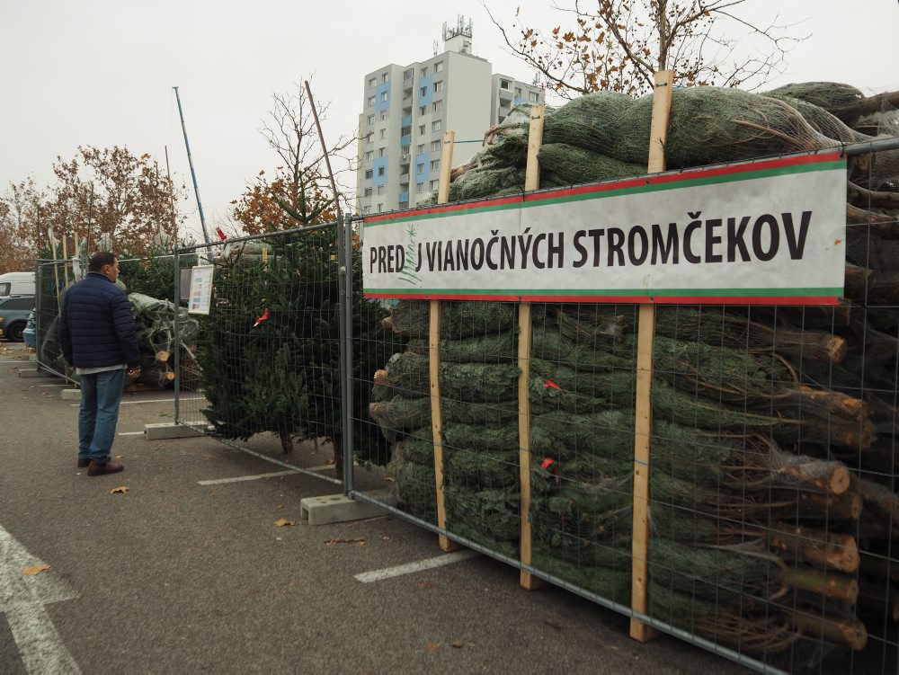 Predaj vianočných stromčekov pred obchodným centrom Tesco v Petržalke