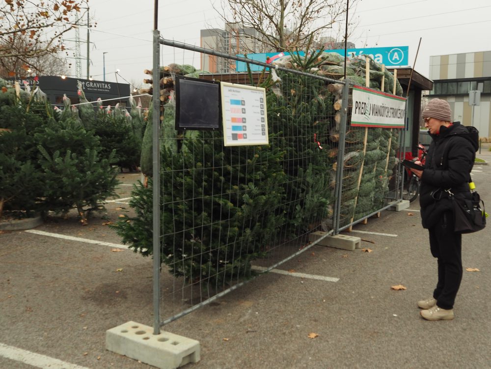 Predaj vianočných stromčekov pred obchodným centrom Tesco v Petržalke