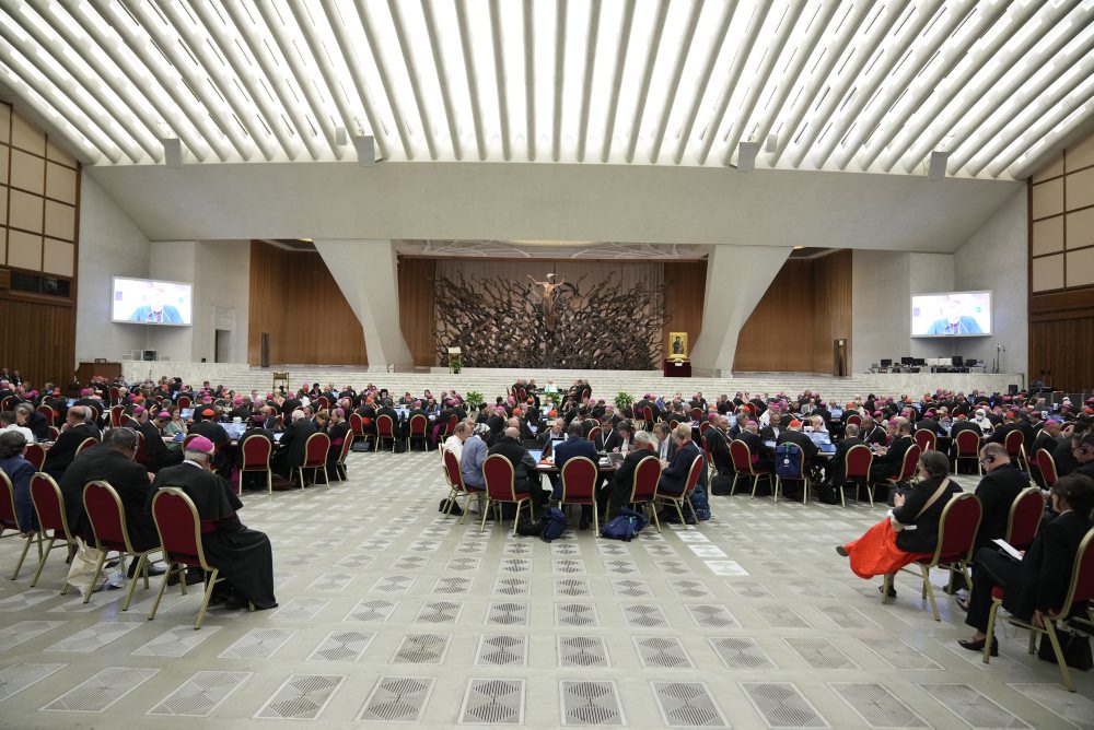 druhé zasadanie 16. riadneho generálneho zhromaždenia biskupskej synody