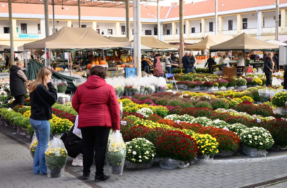 Ponuka chryzantém v mestskej tržnici v Nitre