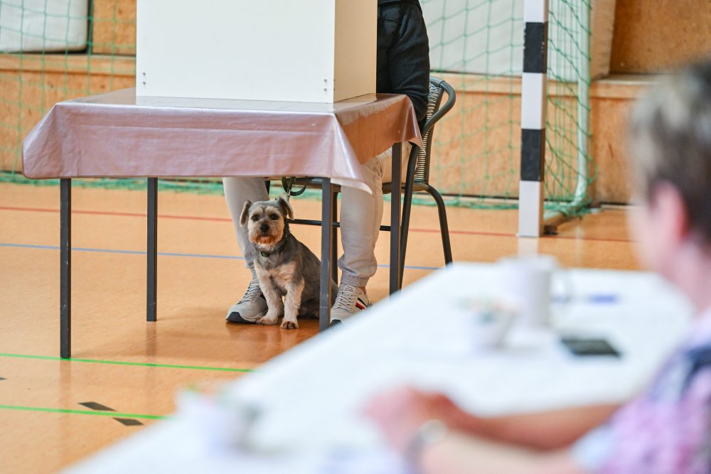 Krajinské voľby v Brandenbursku