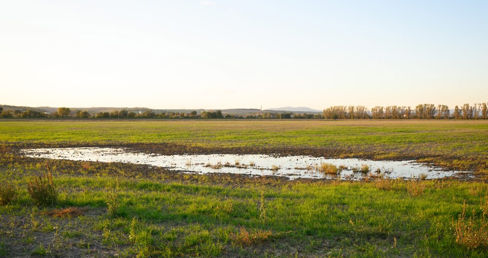 Zaplavené polia v okolí obce Koniarovce